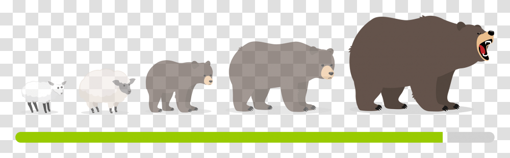 Encrypting Your Passwords In Remembear Grizzly Bear, Wildlife, Animal, Mammal, Bird Transparent Png