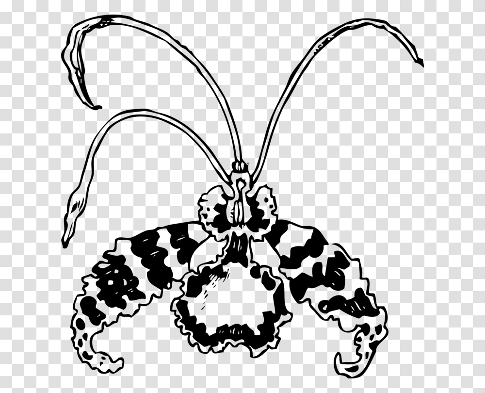 Encyclia Drawing Plants Flowering Plant Orchid Mantis Free, Gray, World Of Warcraft Transparent Png