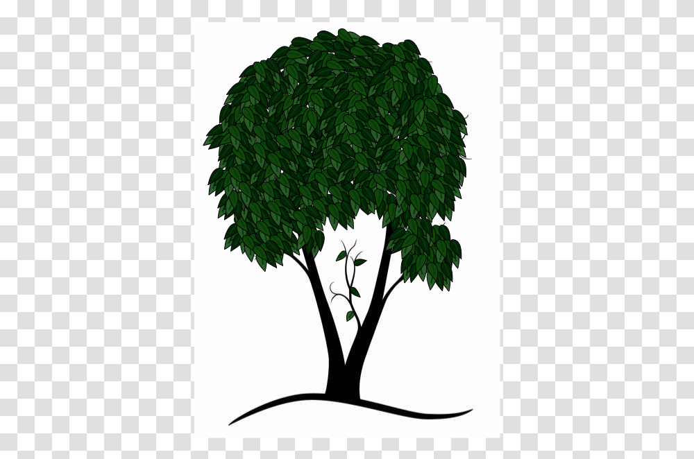 End Gif With Trees, Plant, Leaf, Silhouette, Tree Trunk Transparent Png