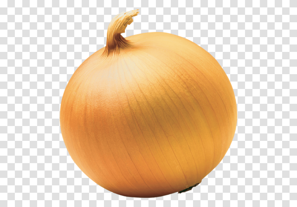 End Of A Onion, Plant, Vegetable, Food, Shallot Transparent Png