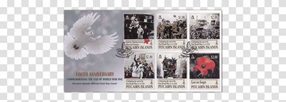 End Of First World War, Person, Human, Bird Transparent Png