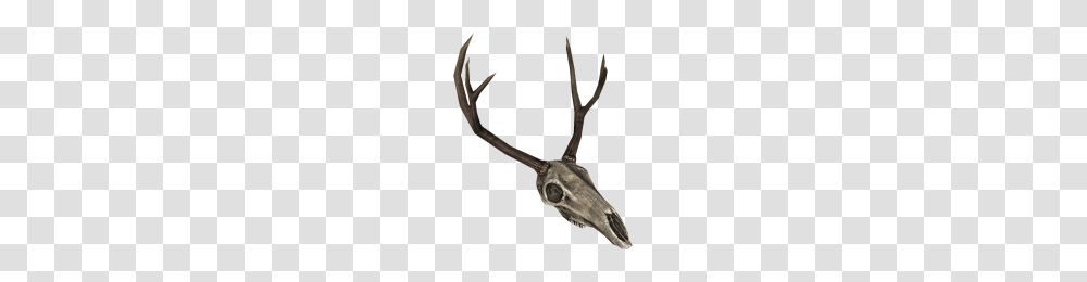 Enderaldeer Skull, Antler, Scissors, Blade, Weapon Transparent Png