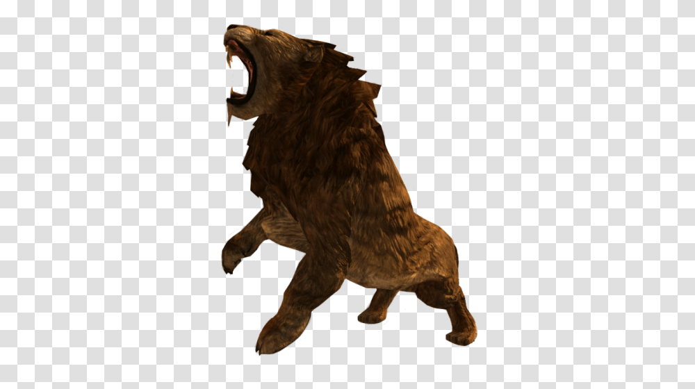 Enderallionlioness, Mammal, Animal, Dog, Pet Transparent Png