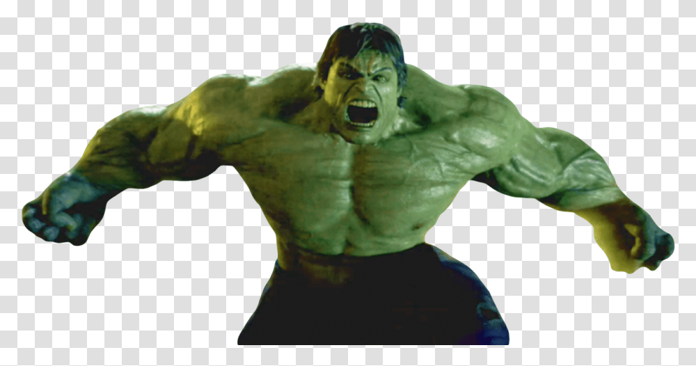 Endgame The Incredible Hulk Incredible Hulk, Person, Ape, Wildlife, Mammal Transparent Png
