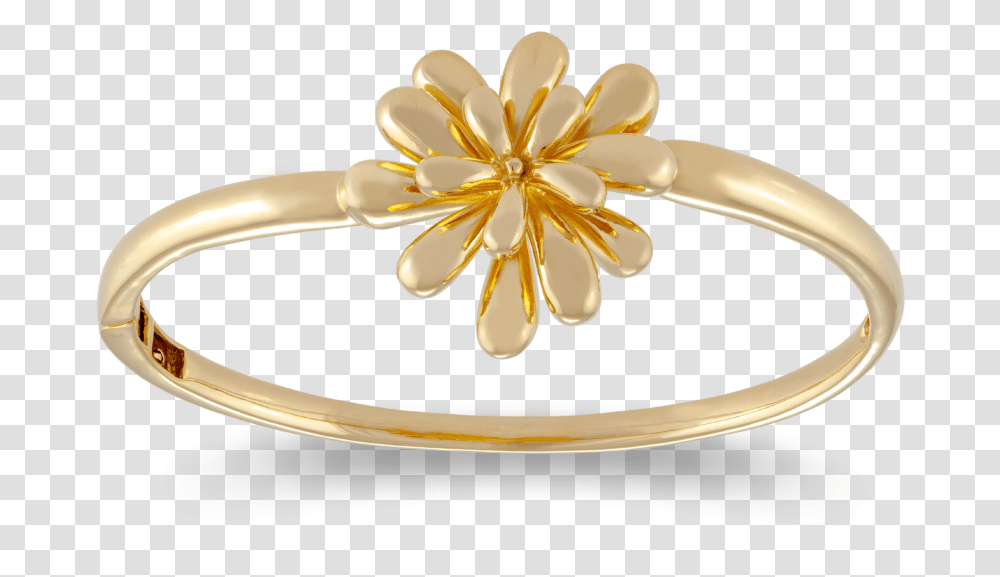 Engagement Ring, Jewelry, Accessories, Accessory, Brooch Transparent Png