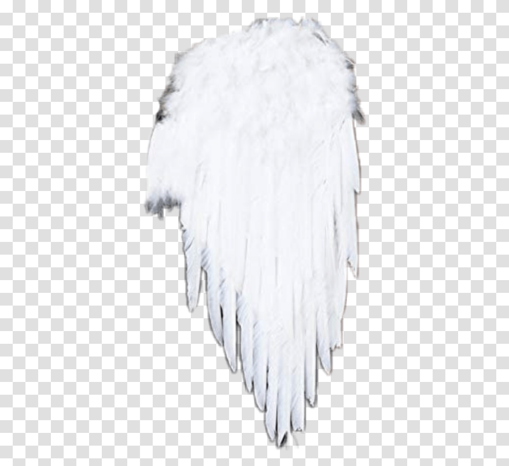 Engelflgelangels Angel Angelwings Engelflgel Darkness, Apparel, Cloak, Fashion Transparent Png