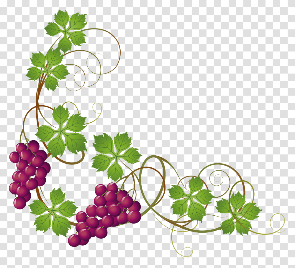 England Clipart Grape, Plant, Grapes, Fruit, Food Transparent Png