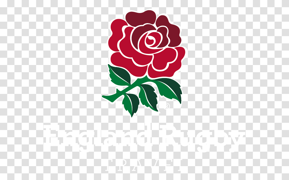 England Rugby Travel Primary Reverse Logo Logo England Rugby World Cup, Plant, Floral Design Transparent Png