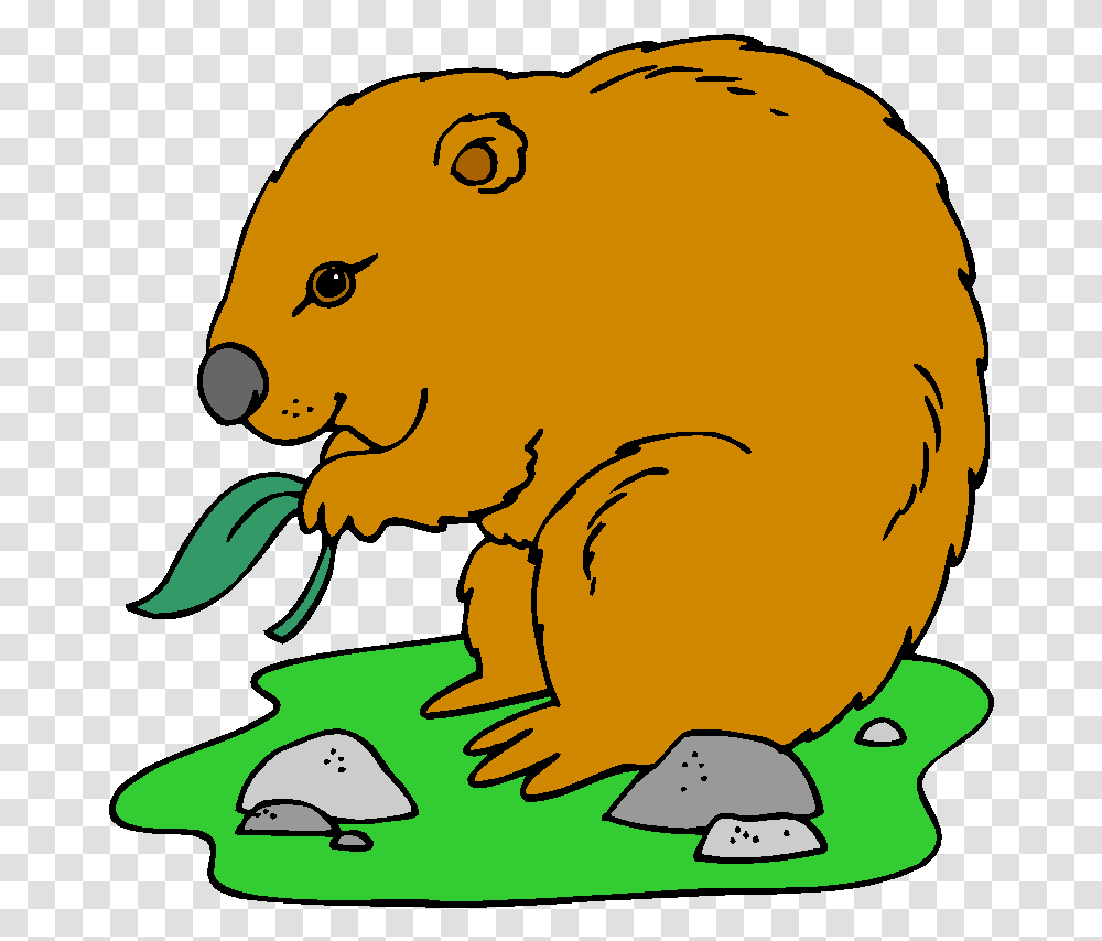 English Exercises Australian Animals Groundhog Eating Clipart, Mammal, Food, Plant, Wildlife Transparent Png