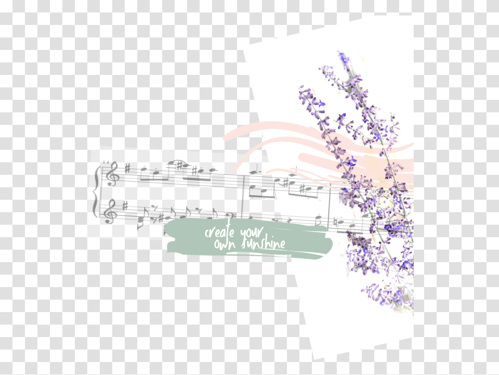 English Lavender, Plant, Flower, Blossom, Cherry Blossom Transparent Png