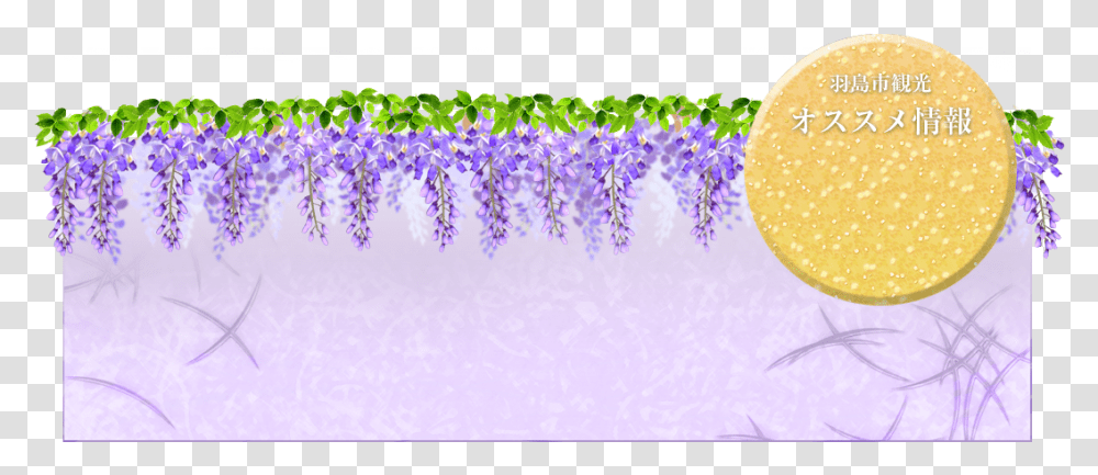 English Lavender, Plant, Flower, Blossom, Purple Transparent Png