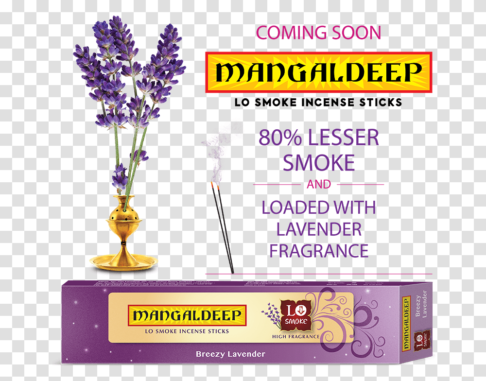 English Lavender, Plant, Flower, Blossom, Vase Transparent Png