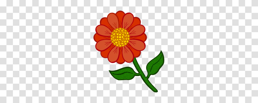 English Marigold Mexican Marigold Annual Plant Flower Southern, Dahlia, Blossom, Petal, Anther Transparent Png