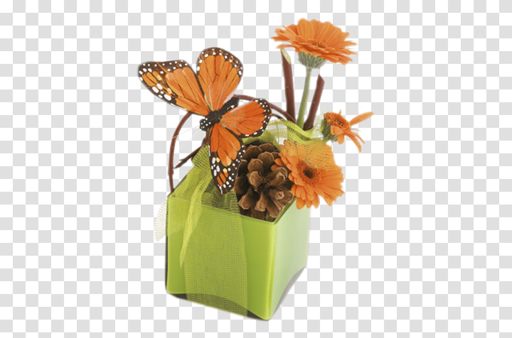 English Marigold, Plant, Flower, Blossom, Flower Arrangement Transparent Png