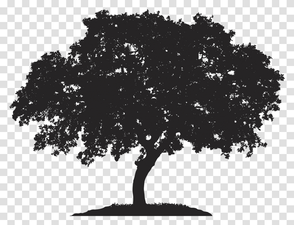 English Oak Tree Japanese Maple Royalty Free Quercus Horse Chestnut Tree Silhouette, Plant, Nature, Outdoors, Tar Transparent Png