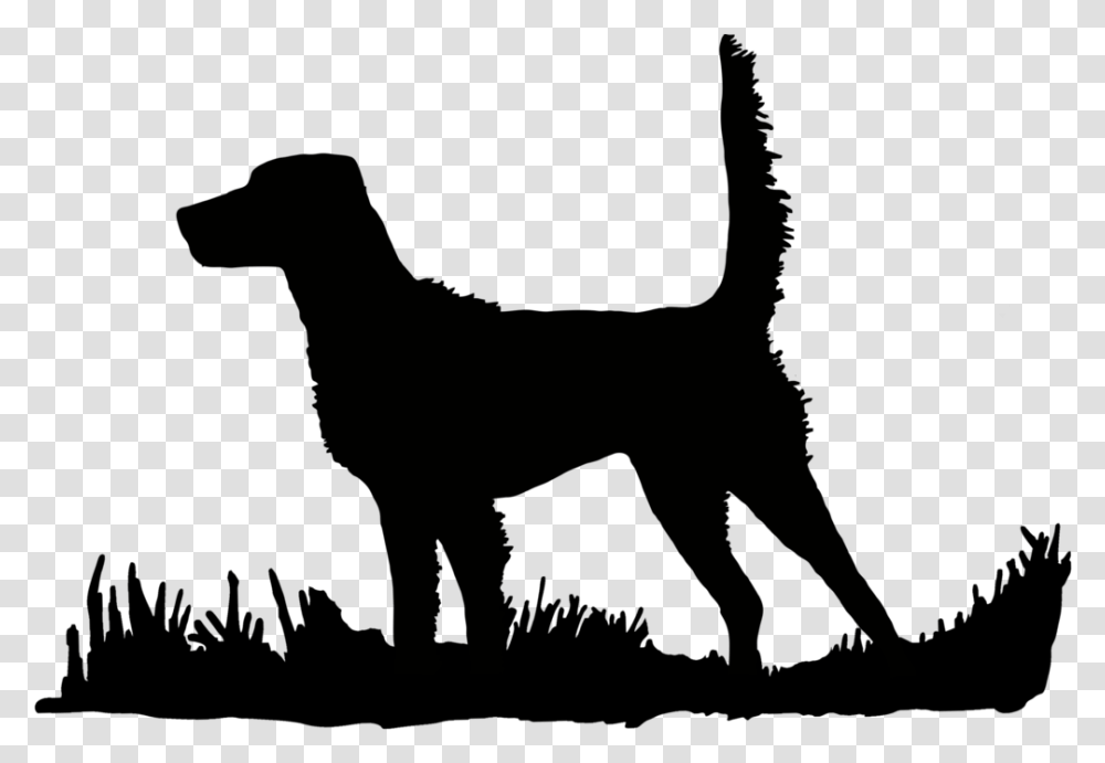 English Setter High Tail Bird Upland Hunting Hunting Dog Clip Art, Outdoors, Nature Transparent Png