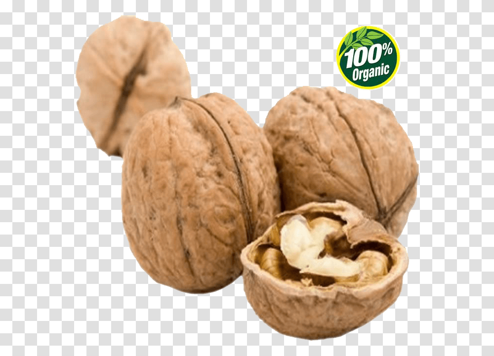 English Walnut Image Background Expensive Nuts, Plant, Vegetable, Food, Fungus Transparent Png