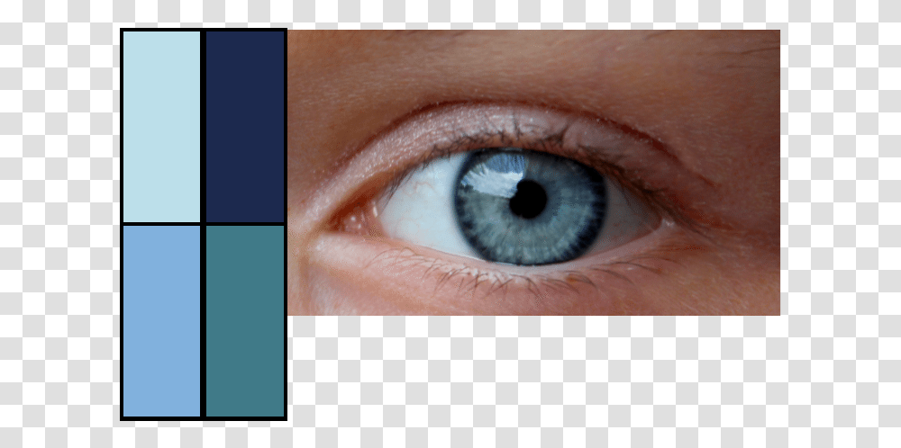 Enhance Your Eyes Vibrant Blue Eyes, Contact Lens, Person, Human, Skin Transparent Png