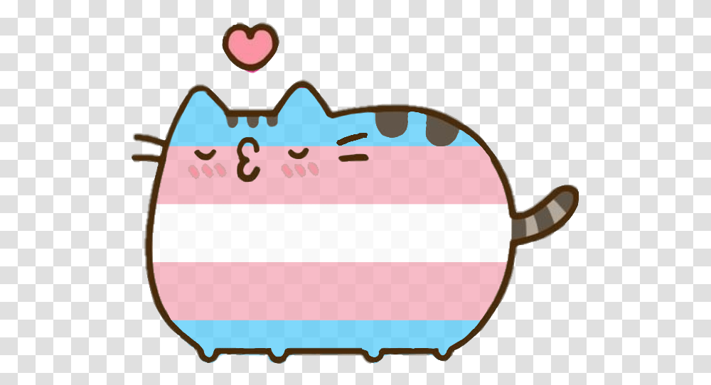 Enigmaticpink On Tumblr Pusheen The Cat, Sunglasses, Accessories, Accessory, Outdoors Transparent Png