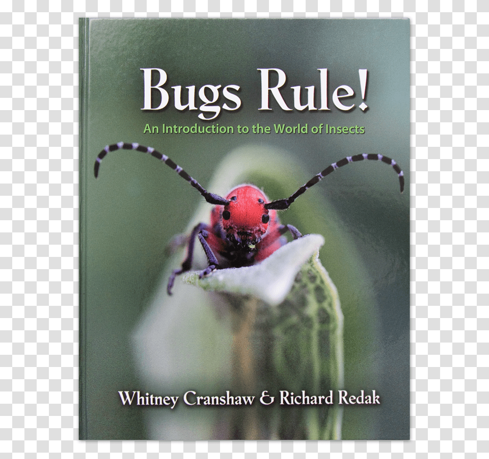 Entomology Book Published By Princeton University, Insect, Invertebrate, Animal, Honey Bee Transparent Png