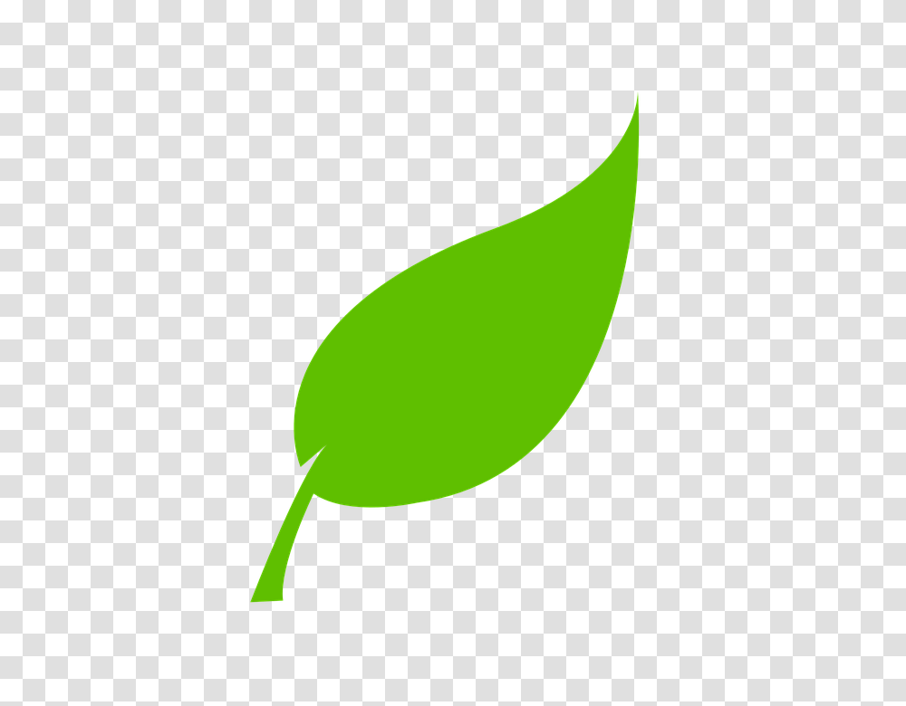 Environment Clipart Green Environment, Leaf, Plant, Flower, Seed Transparent Png