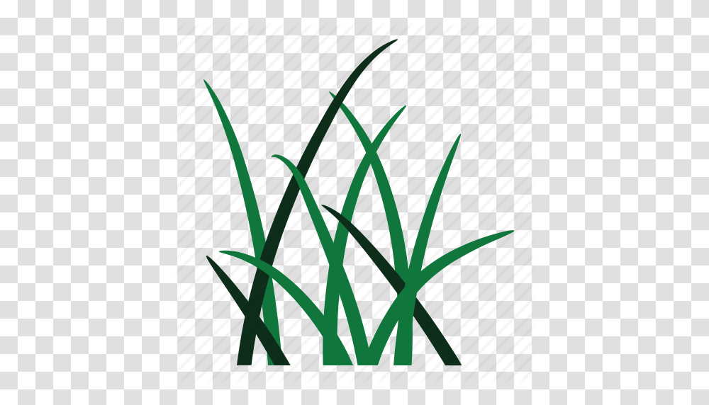 Environment Garden Grass Green Nature Weed Weeds Icon, Plant, Word, Food, Produce Transparent Png