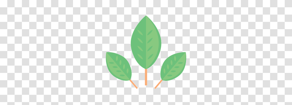 Environment, Leaf, Plant, Food, Vegetable Transparent Png