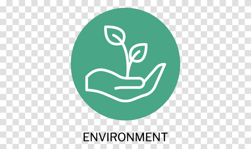Environment Natural Environment, Plant, Vegetable, Food, Green Transparent Png