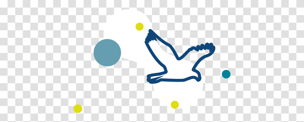 Environment Nvisionistcom, Animal, Bird, Seagull Transparent Png