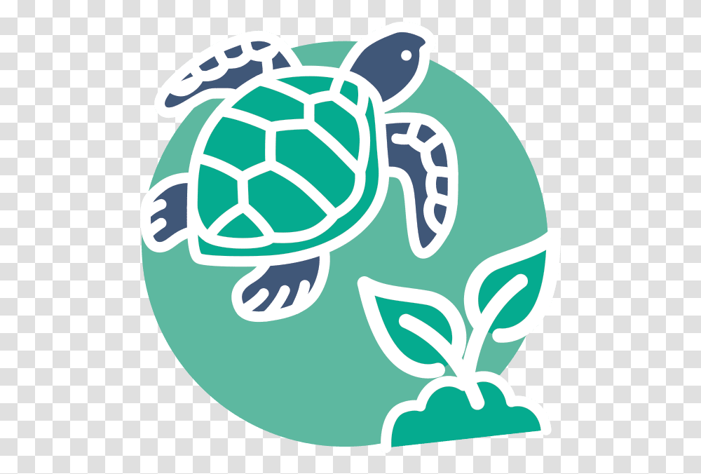 Environment Sea Animal Chalk, Egg, Food, Soccer Ball, Football Transparent Png