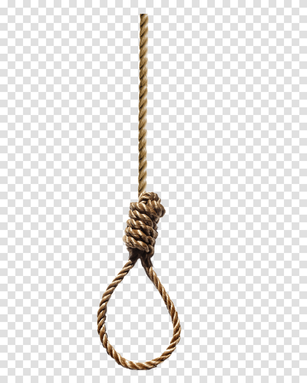 Environments Hangmans Noose, Knot, Rope Transparent Png