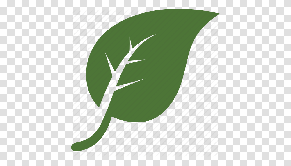 Environnement Garden Green Leaf Leaves Nature Tree Icon, Plant, Insect, Animal, Produce Transparent Png