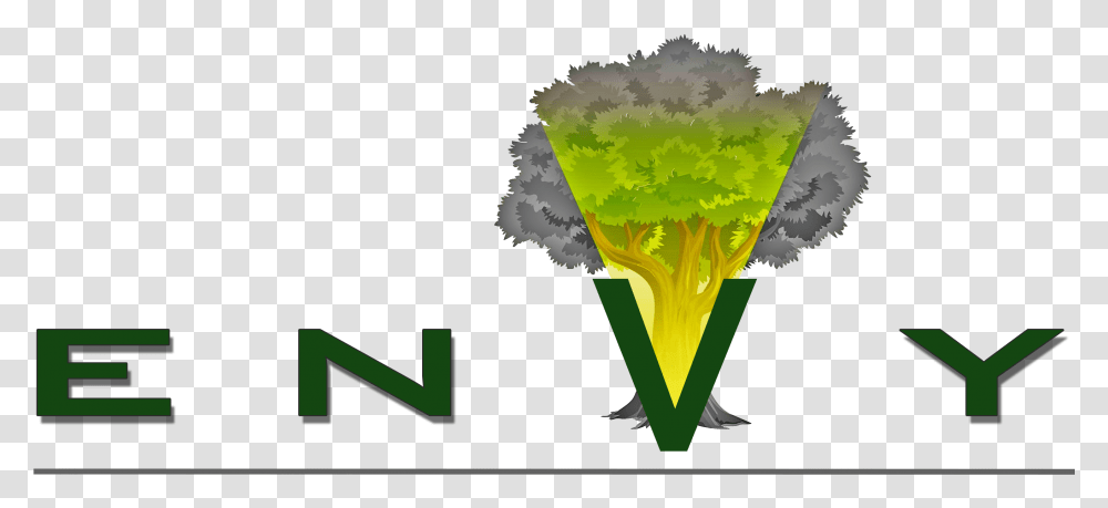 Envy Landscape Lighting Graphic Design, Plant, Vegetable, Food, Broccoli Transparent Png