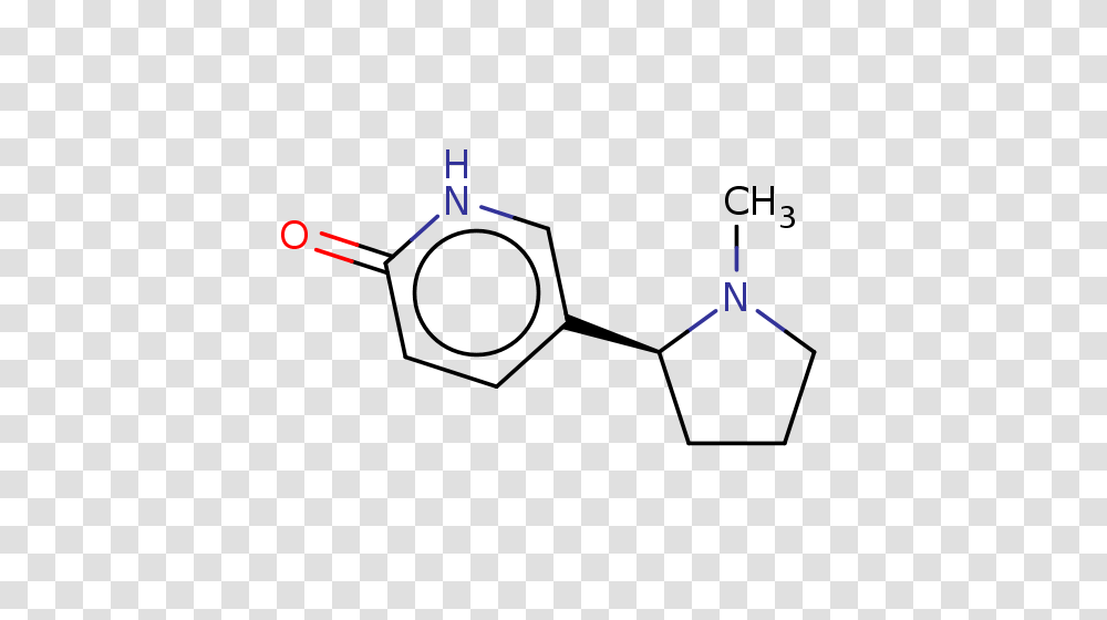 Enzyme Monomer Search, Tie, Accessories, Lighting Transparent Png
