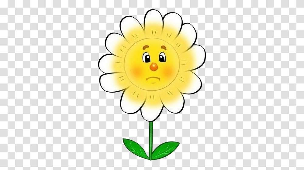 Ep, Plant, Flower, Blossom, Daisy Transparent Png