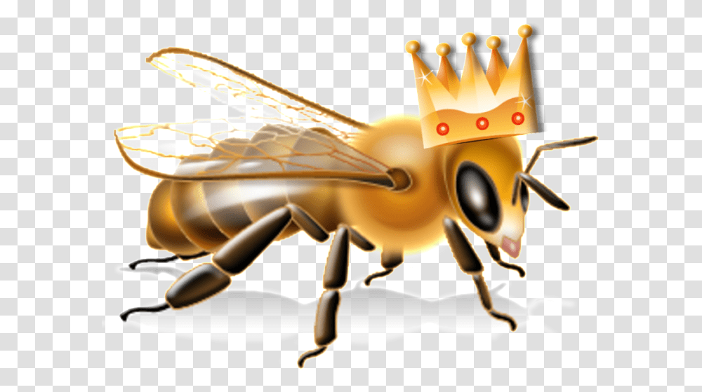Epa Bee Advisory Box Bee Hazard Pesticide Label, Honey Bee, Insect, Invertebrate, Animal Transparent Png