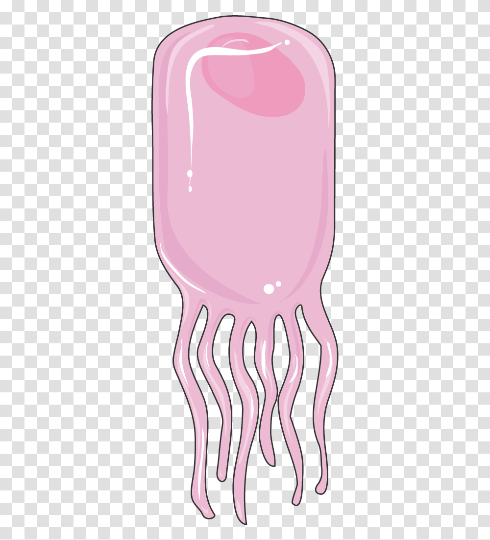 Ependymal Cell Servier Medical Art Girly, Cutlery, Glass, Beverage, Drink Transparent Png
