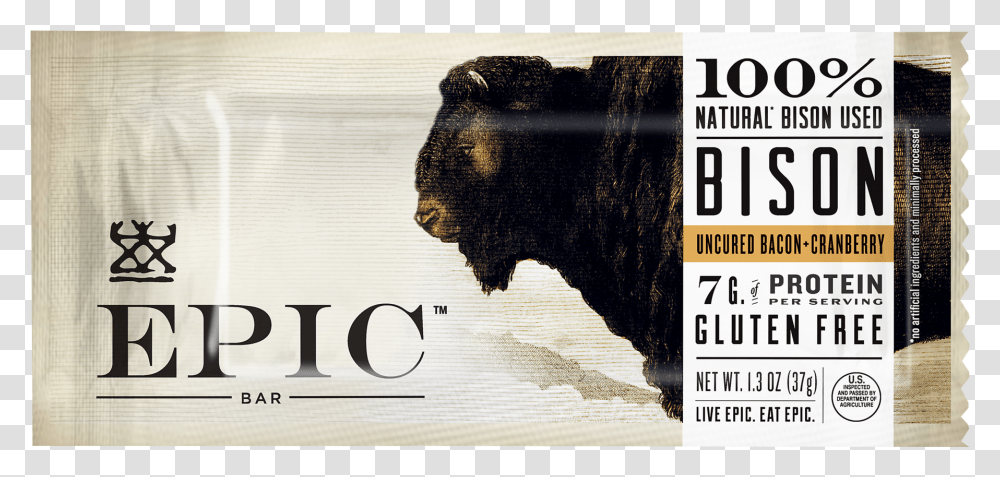 Epic Bison Bar, Mammal, Animal, Bull Transparent Png