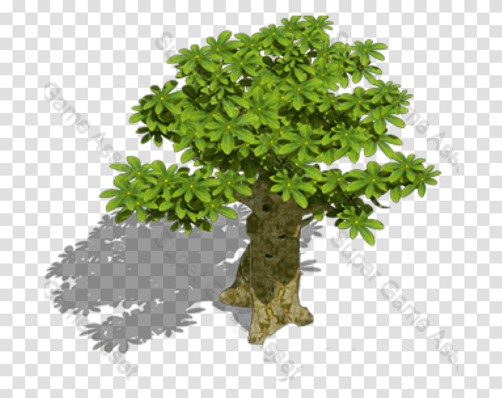 Epic Rpg Trees & Props Gambel Oak, Plant, Potted Plant, Vase, Jar Transparent Png