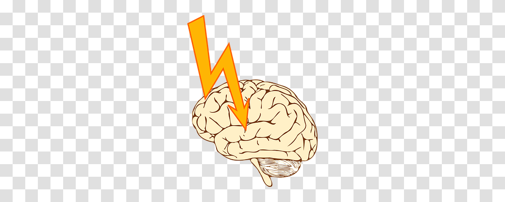 Epilepsy Technology, Plant, Word, Food Transparent Png
