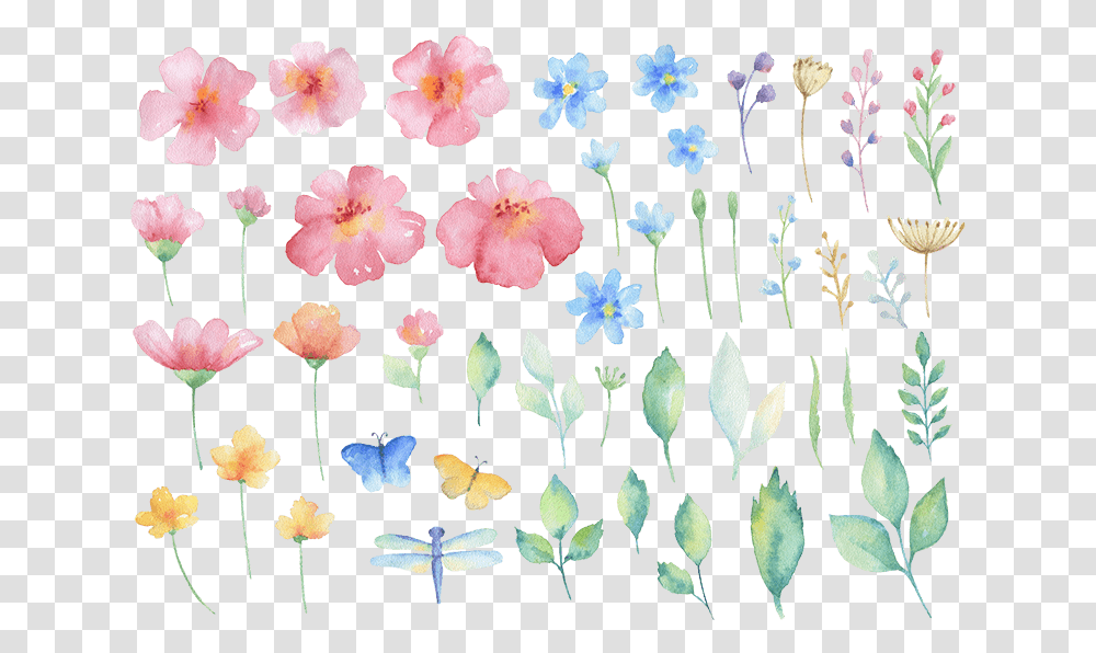Eps Psd Malva, Plant, Rug, Flower, Blossom Transparent Png
