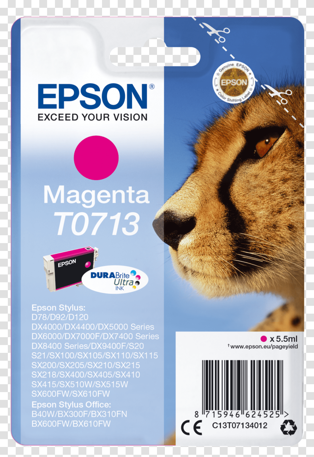Epson, Cheetah, Wildlife, Mammal, Animal Transparent Png