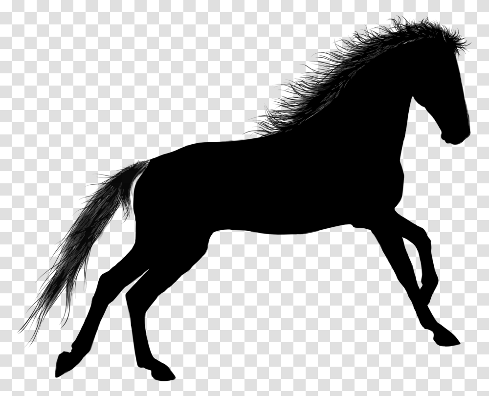 Equestrian Gallop Riding Pony Computer Icons Silhouette Free, Gray, World Of Warcraft Transparent Png