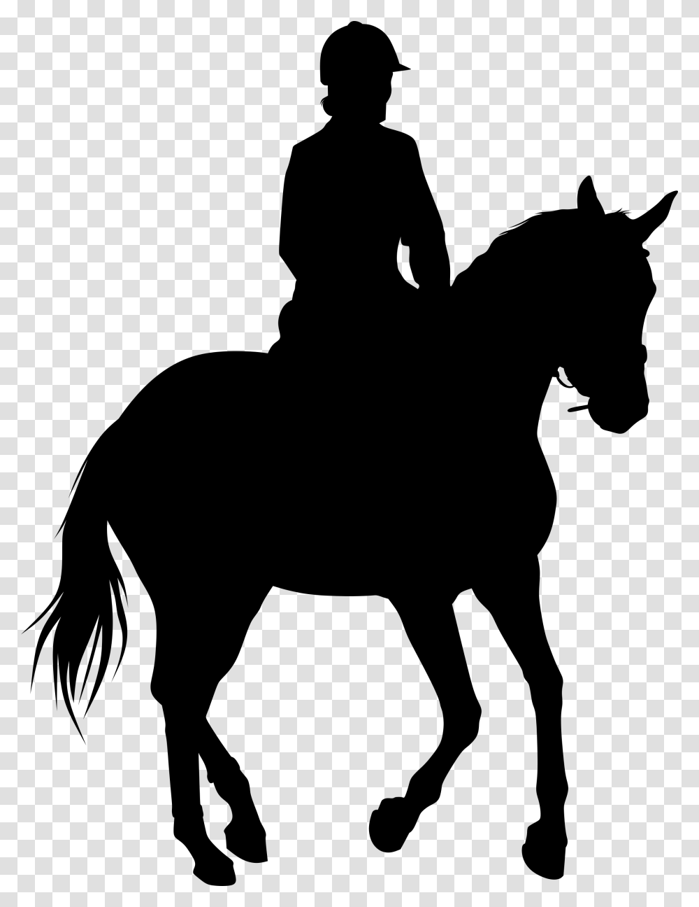 Equestrian Statue Silhouette Horse Bull Rider Silhouette, Gray, World Of Warcraft Transparent Png