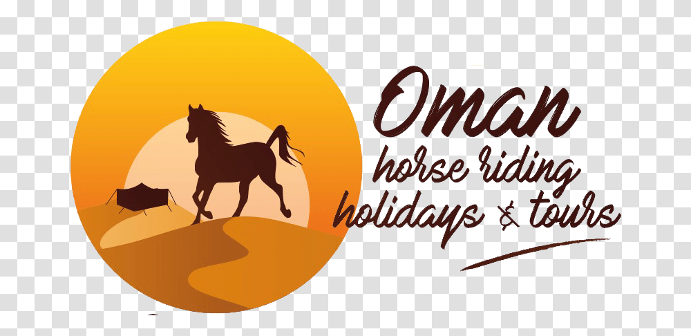 Equestrian Trip In Oman Stallion, Horse, Mammal, Animal Transparent Png