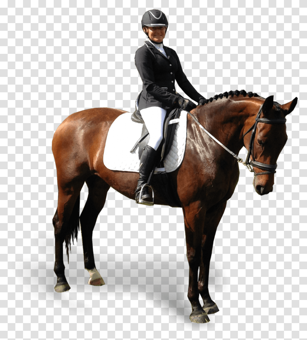 Equestrianism, Apparel, Horse, Mammal Transparent Png