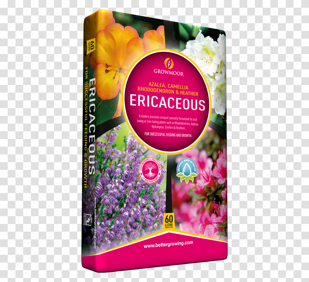 Ericaceous Compost Evergreen Rose, Poster, Advertisement, Flyer, Paper Transparent Png