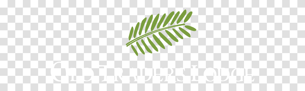 Erindi Private Game Reserve Language, Plant, Text, Fern, Leaf Transparent Png