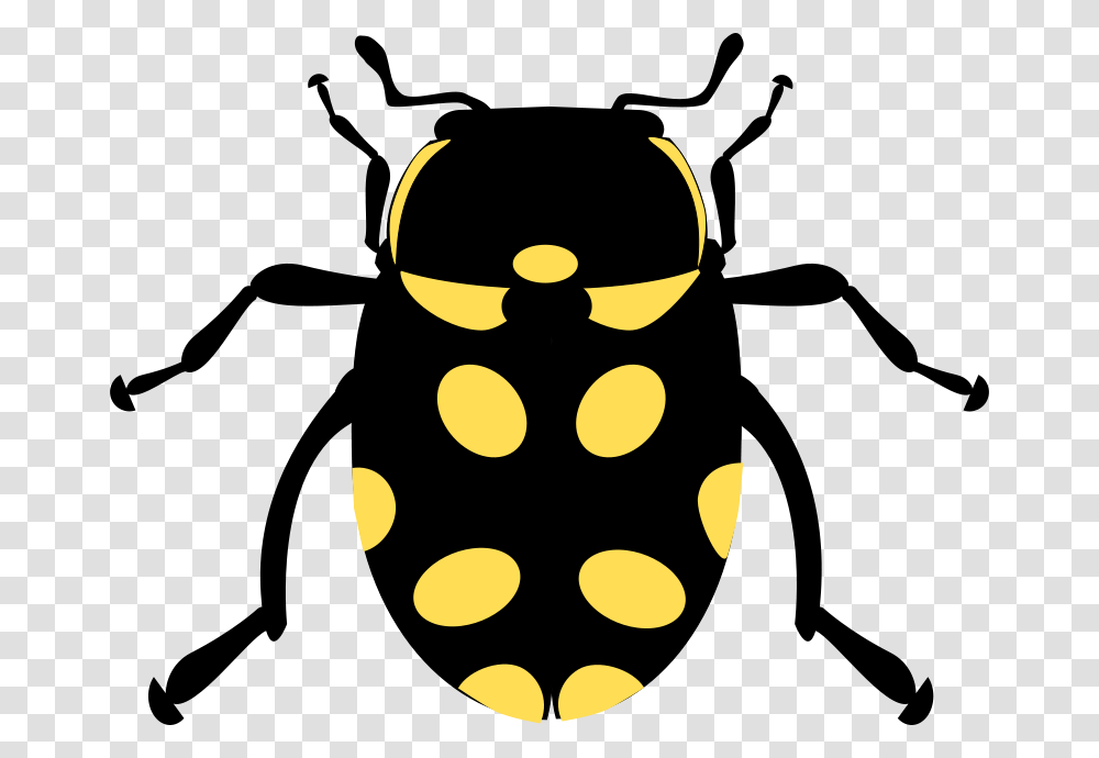 Eriopis Canrash Bug, Animals, Logo, Trademark Transparent Png