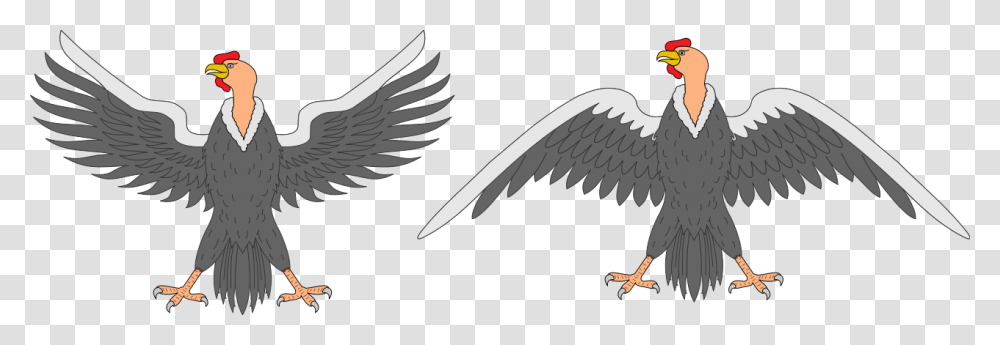 Escudo Del Ecuador, Bird, Animal, Eagle, Vulture Transparent Png